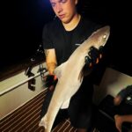 Тенерифе рыбалка акула
